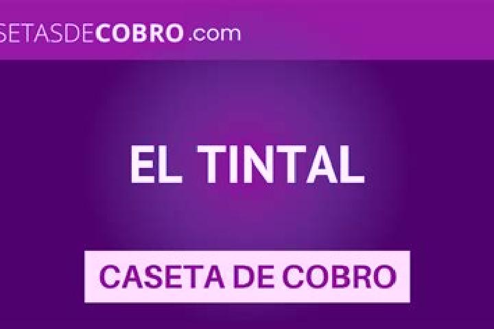 Eva, 24 — Escort in El Tintal, Mexico