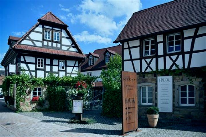 Eva, 24 — Escort in Pleisweiler-Oberhofen, Germany