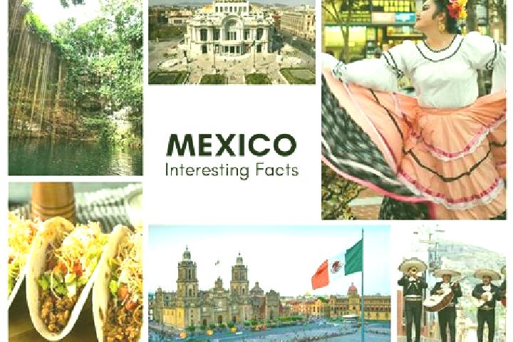 Eva, 24 — Escort in Tepuxta, Mexico