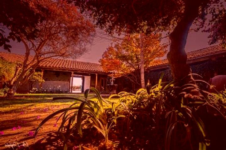 Eva, 25, a auburn brown-eyed middle eastern companion based in Rinconada de Los Andes. Offering Prostate Massage, Couples, GFE, Erotic Massage. Available for...