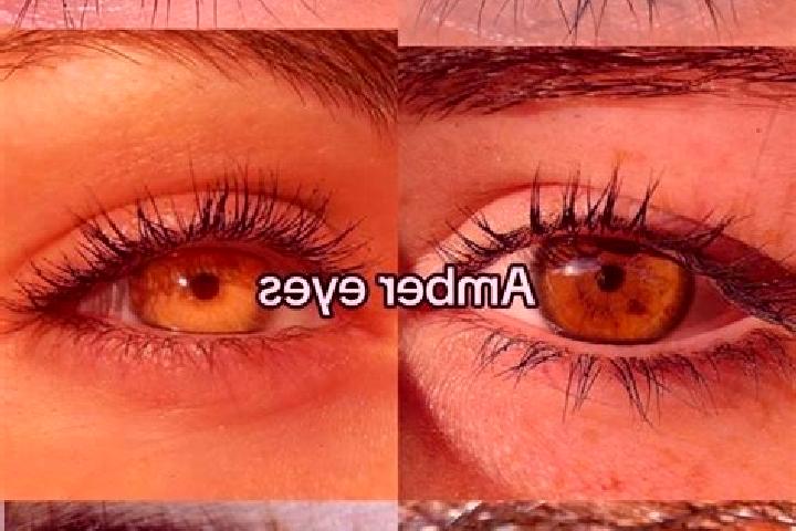 Eva, 25, a chestnut amber-eyed ebony companion based in Ashhurst. Offering Massage, Duos, Dinner Date. Available for incall and outcall, overnight bookings a...