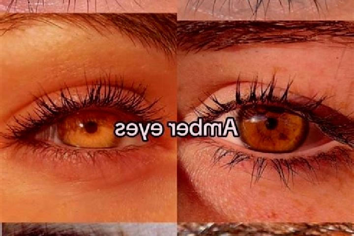 Eva, 25, a chestnut amber-eyed indian companion based in Robledo de Chavela. Offering A-Level, Massage, Girlfriend Experience, Roleplay. Available for incall...