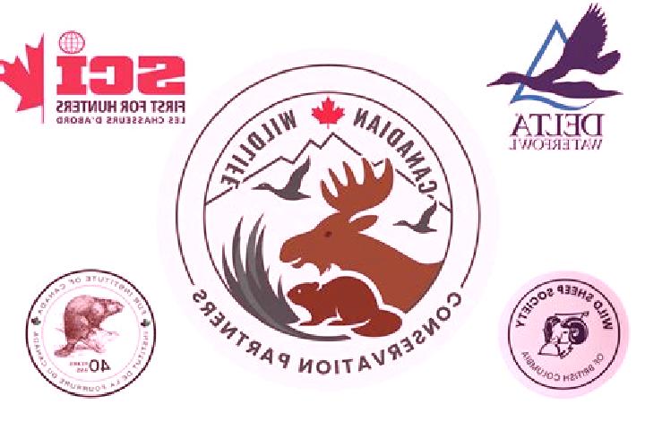 Eva, 25 — Escort in Conservation, Canada