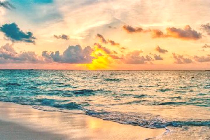 Eva, 25 — Escort in Pelham, United States