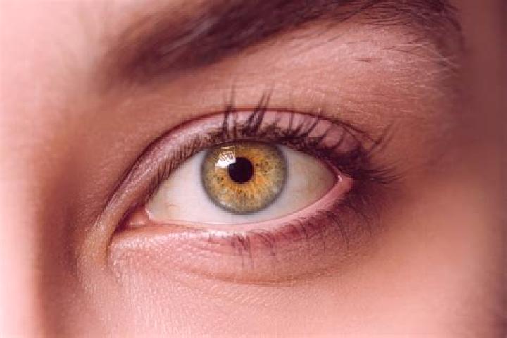 Eva, 26, a black hazel-eyed mixed companion based in Dudasu Schelei. Offering Domination, Couples, Overnight, BDSM, Deep French Kissing. Available for incall...