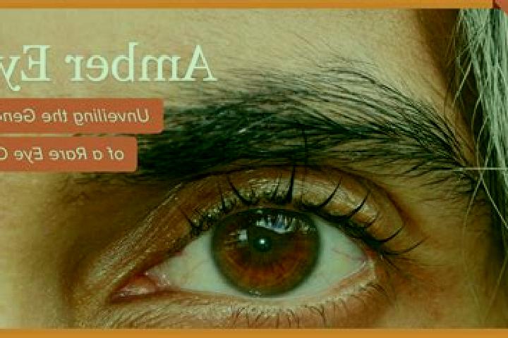 Eva, 27, a black amber-eyed mixed companion based in Nomain. Offering Deep French Kissing, Overnight, Striptease, Couples. Available for incall and outcall, ...