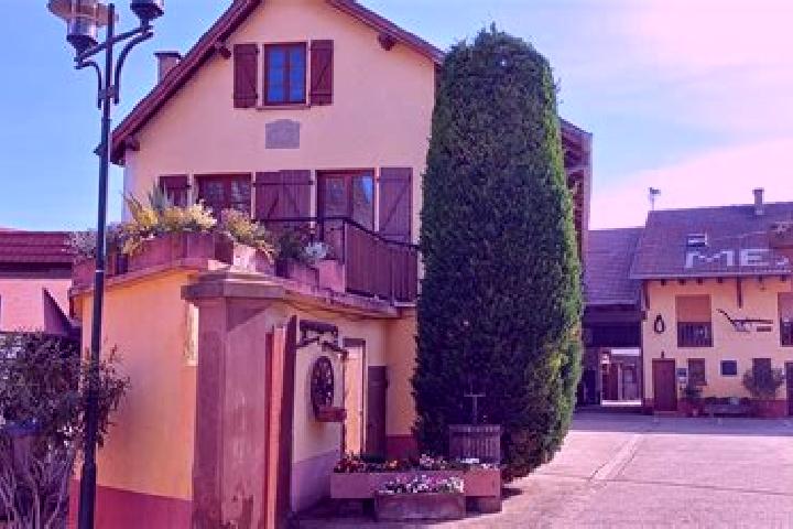 Eva, 28 — Escort in Oberschaeffolsheim, France