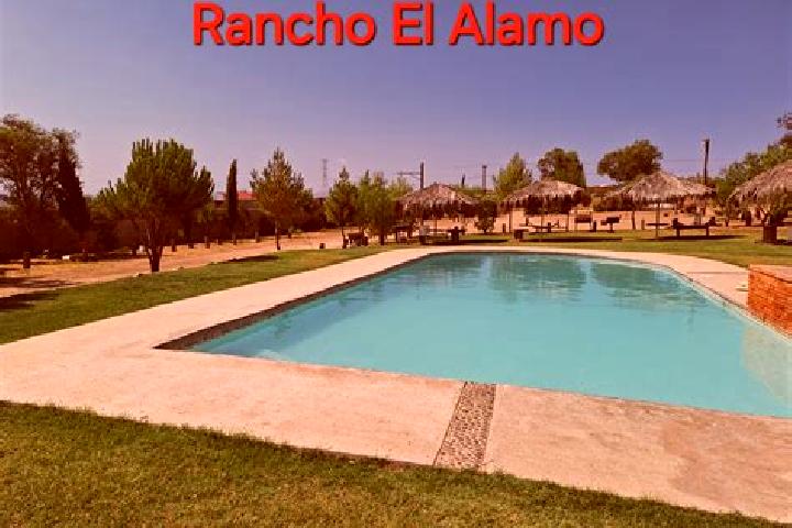Eva, 30 — Escort in El Alamo, Spain