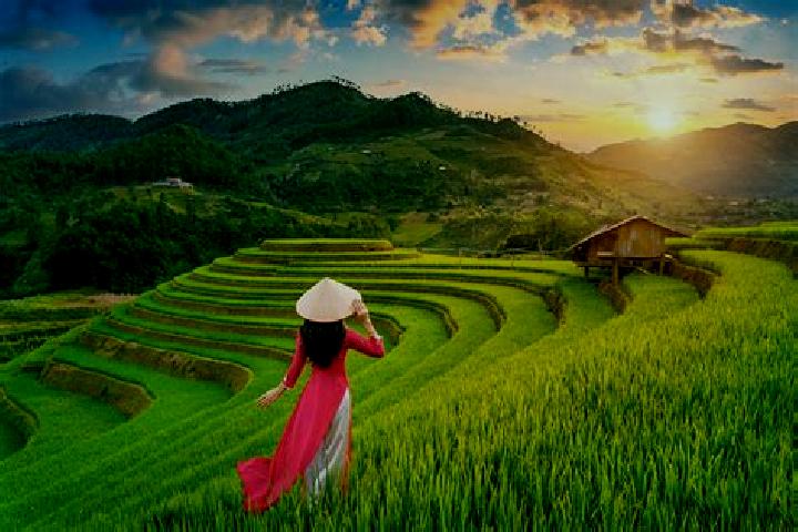 Eva, 30 — Escort in Mu Cang Chai, Vietnam