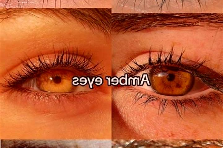 Eva, 31, a brunette amber-eyed middle eastern companion based in Falcarragh. Offering Overnight, Prostate Massage, Couples, Striptease. Available for incall ...