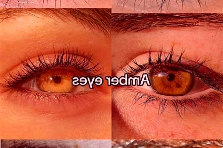 Eva, 32, a chestnut amber-eyed european companion based in Almedia. Offering Girlfriend Experience, Duos, Prostate Massage. Available for incall and outcall,...