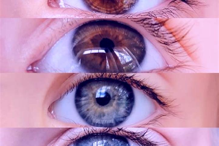 Eva, 33, a chestnut grey-eyed middle eastern companion based in Rio do Oeste. Offering Massage, Tantra, Striptease, Couples. Available for incall and outcall...