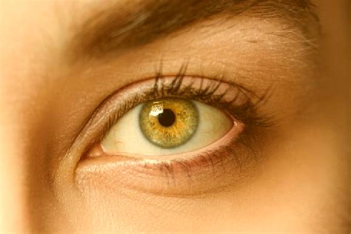 Eva, 33, a chestnut hazel-eyed mixed companion based in Nowjeh Deh-e Sadat. Offering OWO, Tantra, Girlfriend Experience, A-Level. Available for incall and ou...