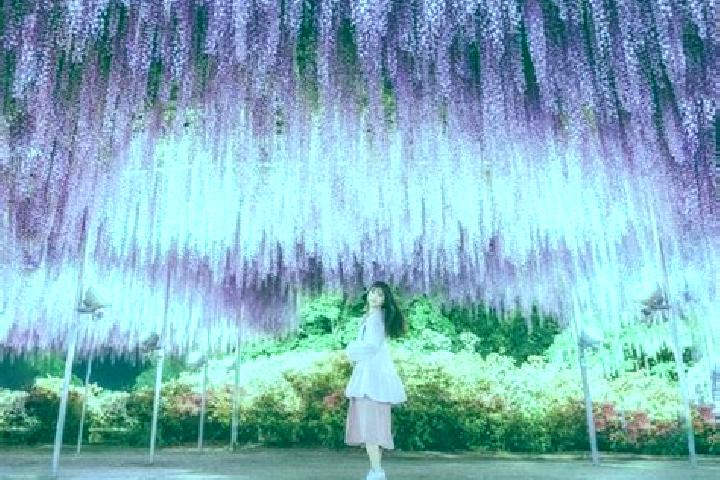 Eva, 33 — Escort in Ashikaga, Japan