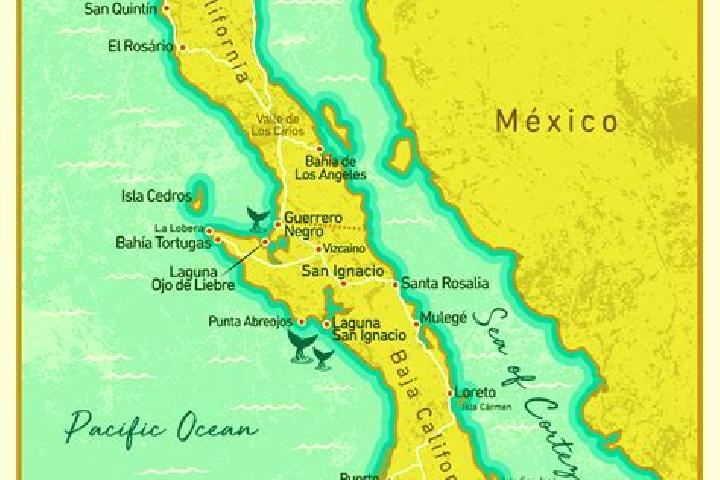 Eva, 33 — Escort in La Peninsula, Mexico
