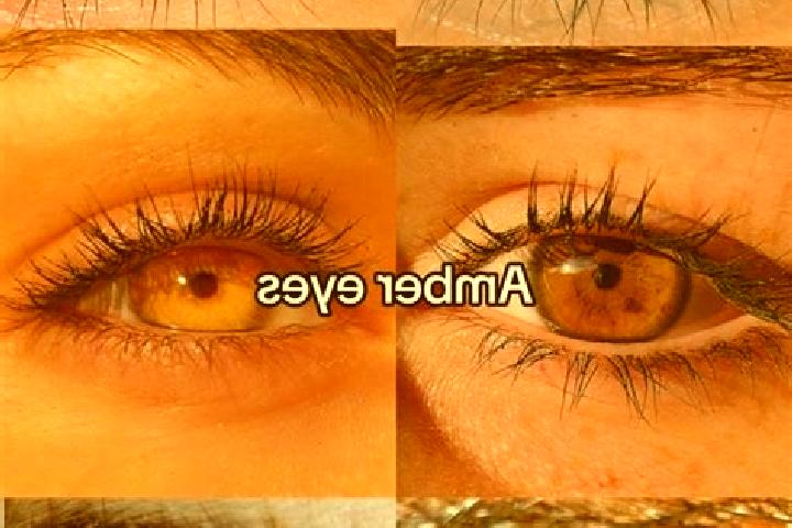 Eva, 34, a chestnut amber-eyed mixed companion based in Rageleje. Offering A-Level, Party Girl, Massage, Girlfriend Experience, Overnight. Available for inca...