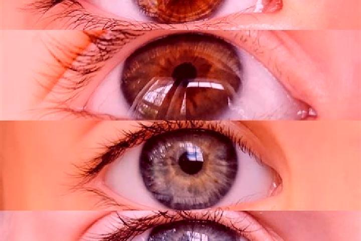 Eva, 35, a chestnut dark-eyed middle eastern companion based in Bochojbo Alto. Offering 69, Duos, A-Level. Available for incall and outcall, overnight bookin...