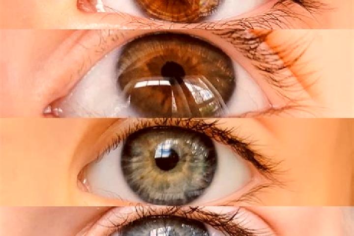 Eva, 35, a chestnut dark-eyed mixed companion based in New Salisbury. Offering Fetish, CIM, OWO. Available for incall and outcall, overnight bookings available.