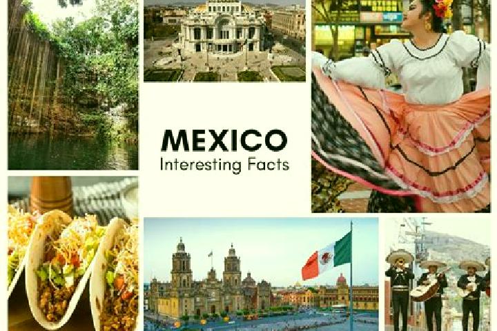 Eva, 35 — Escort in Nexcuayo II, Mexico