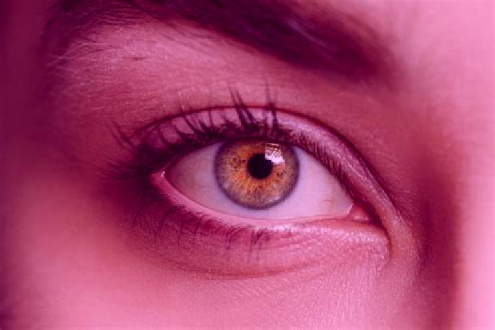 Eva, 37, a black hazel-eyed mixed companion based in Salir do Porto. Offering Party Girl, Tantra, Massage, Erotic Massage, Prostate Massage. Available for in...