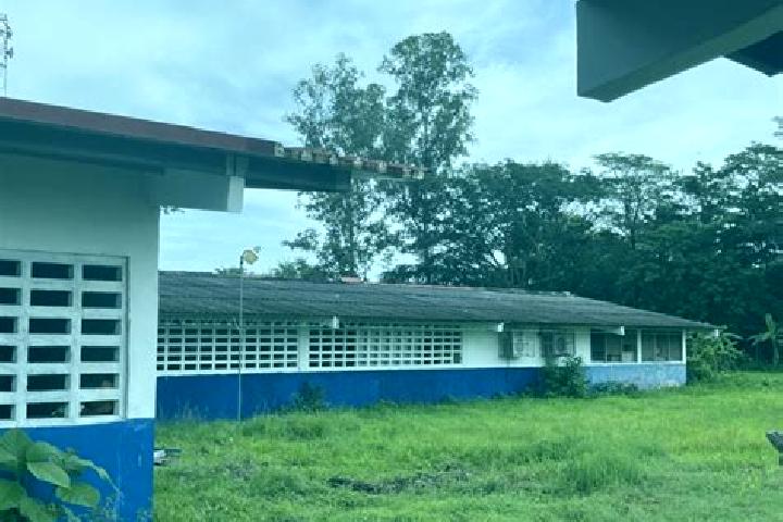 Eva, 39 — Escort in Las Guabas, Panama
