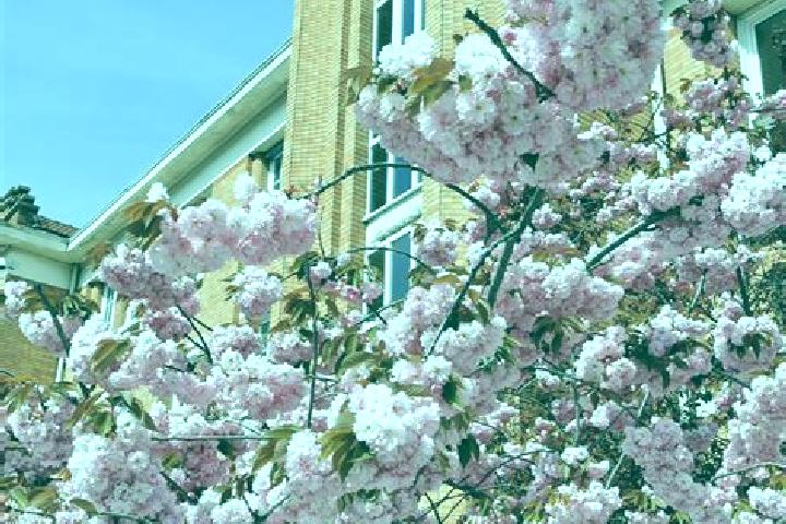 Eva, 39 — Escort in Les Lilas, France