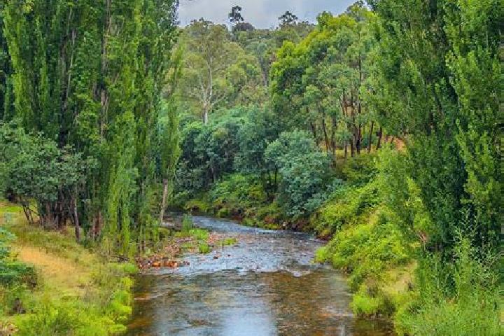 Eva, 39 — Escort in Mountain River, Australia