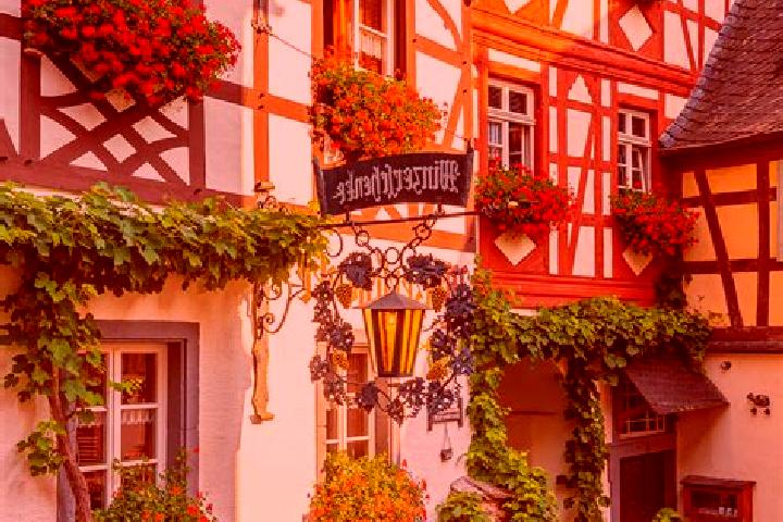 Eva, 39 — Escort in Muhlenrade, Germany