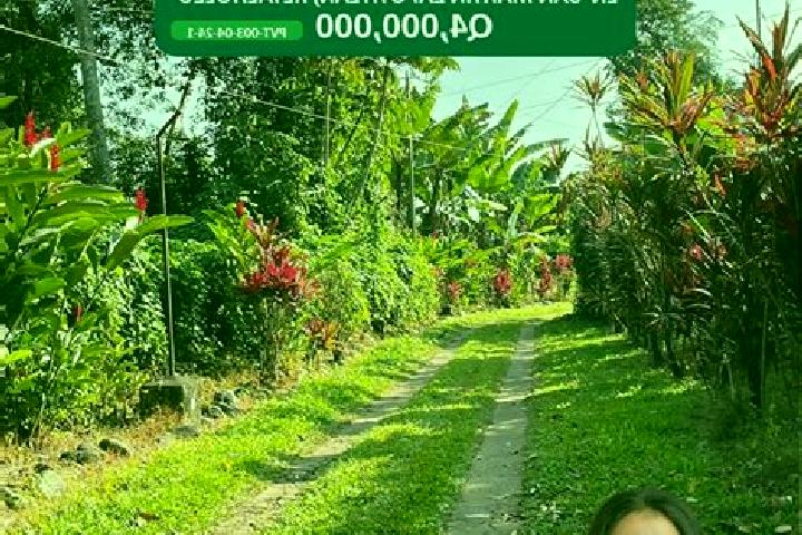 Eva, 39 — Escort in San Martin Zapotitlan, Guatemala
