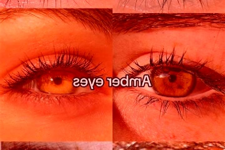 Evelyn, 20, a chestnut amber-eyed slavic companion based in Zall-Bastar. Offering Erotic Massage, Girlfriend Experience, GFE. Available for incall and outcal...