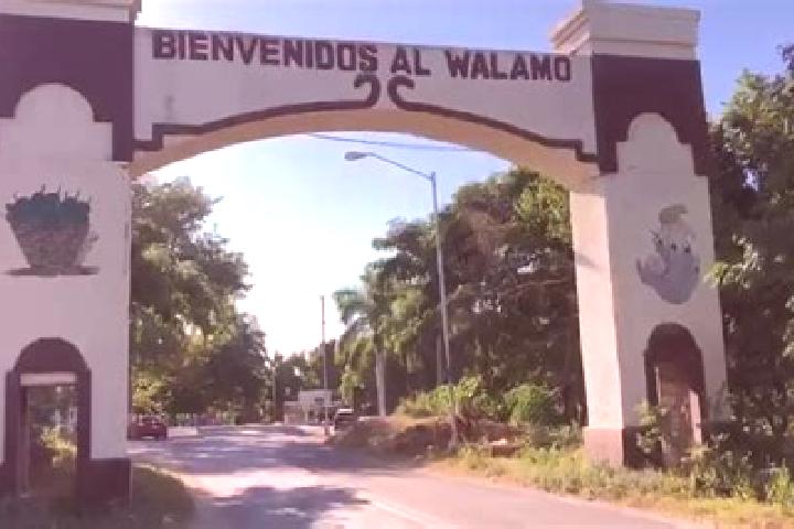 Evelyn, 20 — Escort in El Walamo, Mexico
