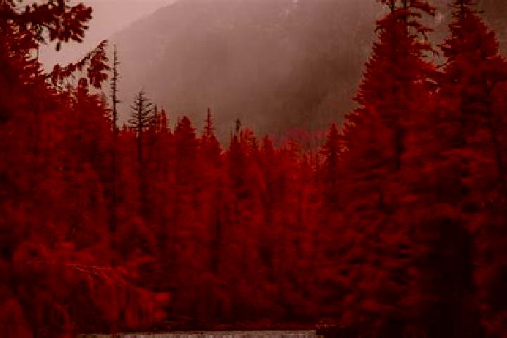 Evelyn, 20 — Escort in Forest, Canada