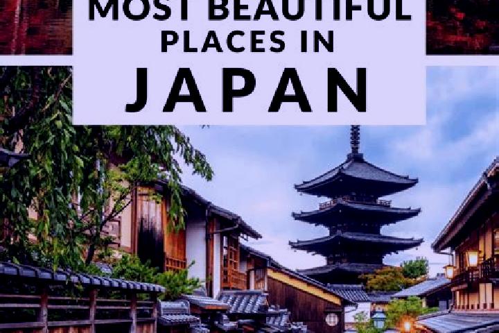 Evelyn, 20 — Escort in Tamagawa, Japan
