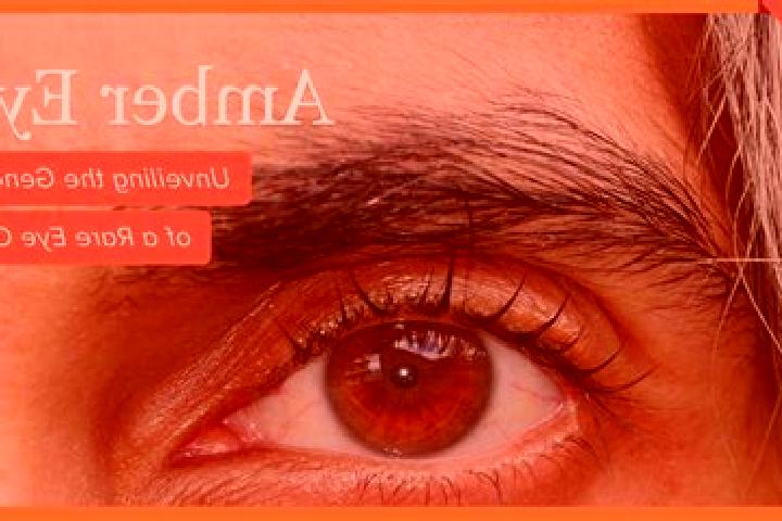 Evelyn, 21, a red amber-eyed slavic companion based in Sangabile. Offering CIM, Overnight, Duos, BDSM, Fetish. Available for incall and outcall, overnight bo...