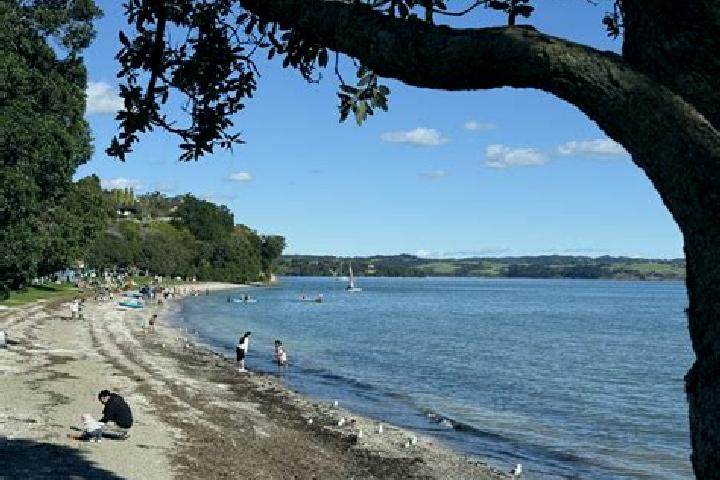 Evelyn, 21 — Escort in Cockle Bay, New Zealand
