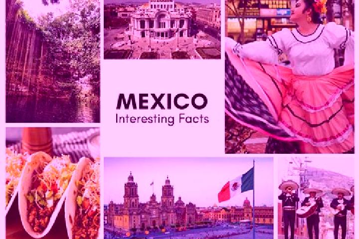 Evelyn, 21 — Escort in Comanjilla, Mexico