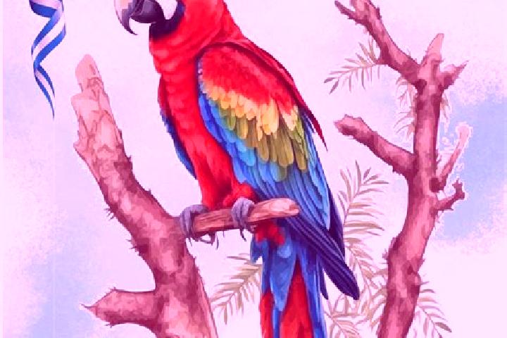 Evelyn, 21 — Escort in Guacamaya, Honduras