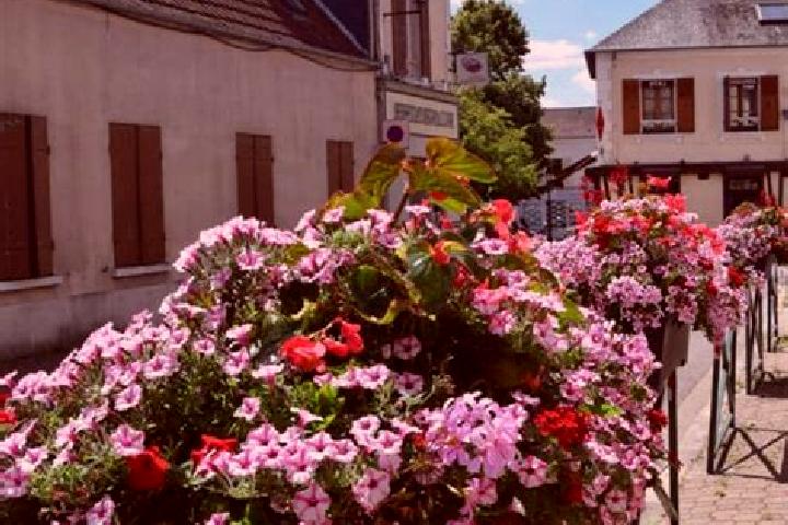 Evelyn, 21 — Escort in Les Essarts, France