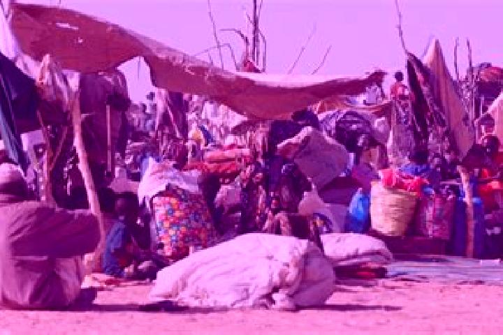 Evelyn, 21 — Escort in Mellit, Sudan