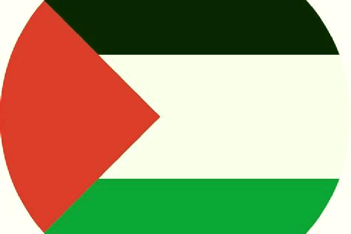 Evelyn, 21 — Escort in Ramin, Palestine