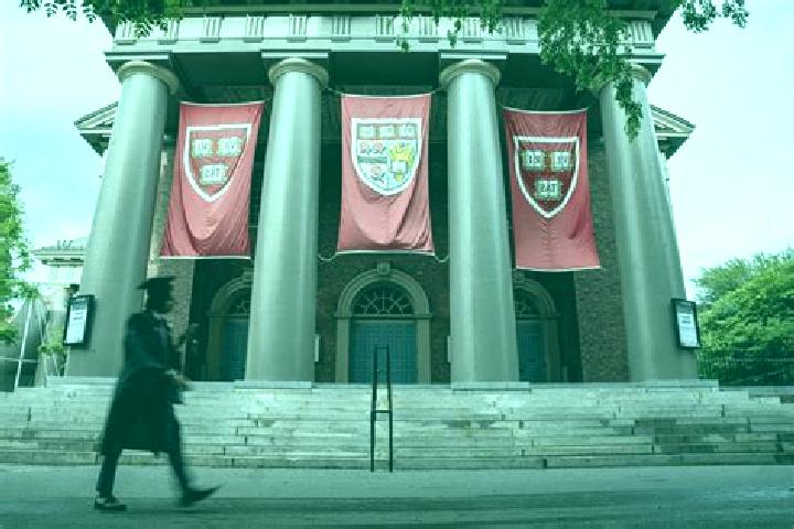 Evelyn, 22 — Escort in Harvard, United States