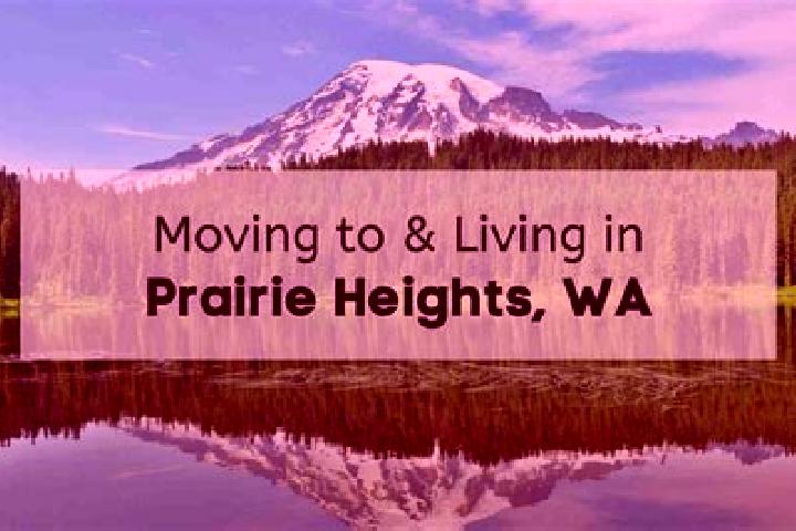 Evelyn, 22 — Escort in Prairie Heights, United States