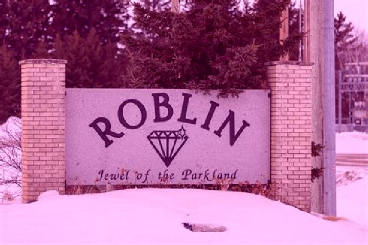Evelyn, 22 — Escort in Roblin, Canada