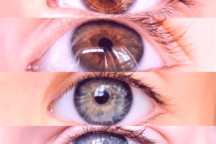 Evelyn, 24, a chestnut hazel-eyed caucasian companion based in Zaratan. Offering CIM, Erotic Massage, Fetish. Available for incall and outcall, day and eveni...