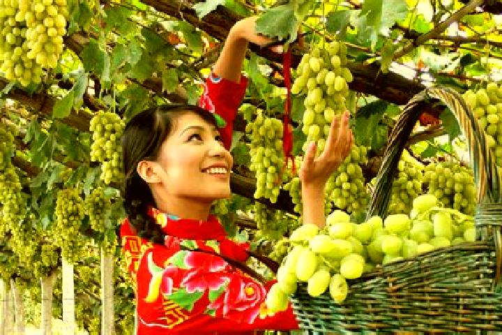 Evelyn, 24 — Escort in Xuanhua, China