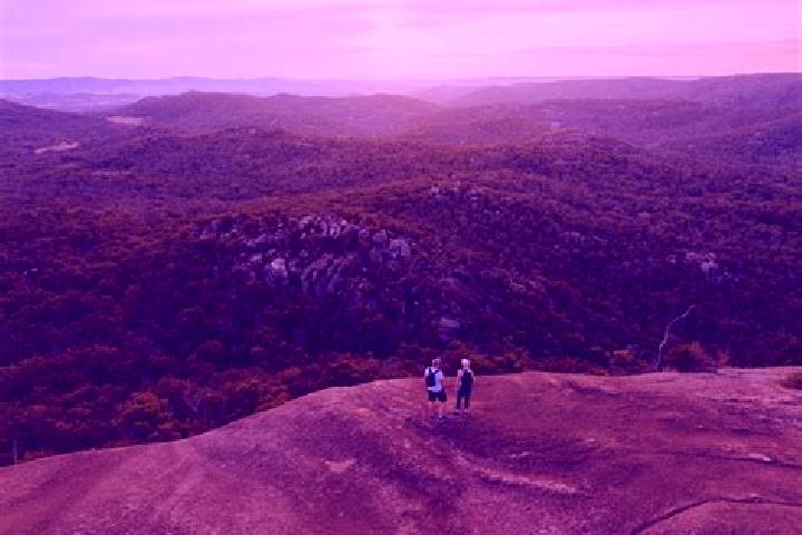 Evelyn, 25 — Escort in Crows Nest, Australia