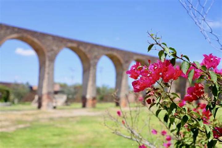 Evelyn, 25 — Escort in El Saucillo de Primavera, Mexico