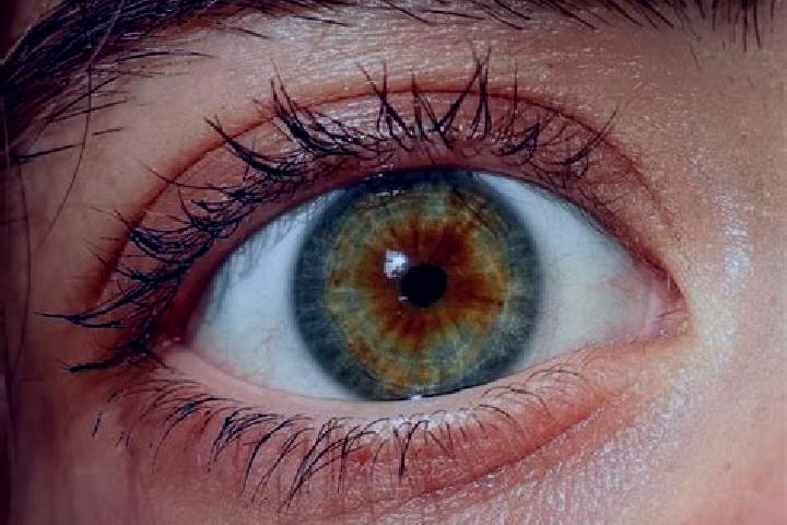 Evelyn, 26, a red hazel-eyed ebony companion based in Huertahernando. Offering Fetish, Roleplay, 69. Available for incall and outcall, day and evening dates.
