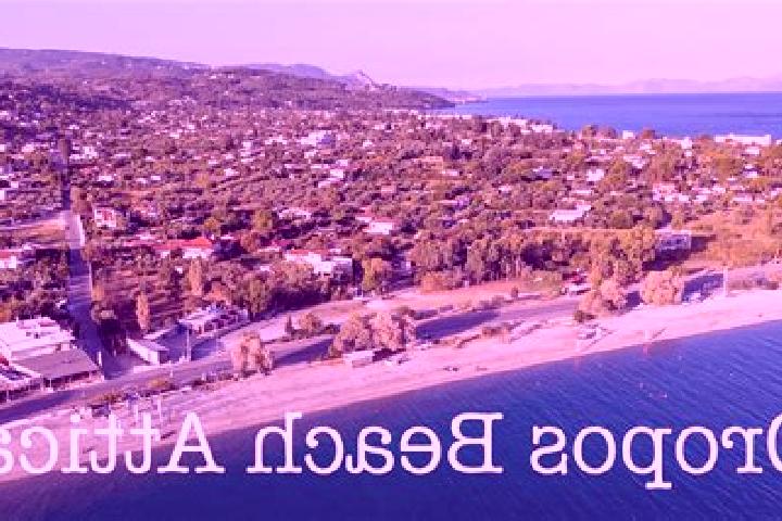 Evelyn, 26 — Escort in Oropos, Greece