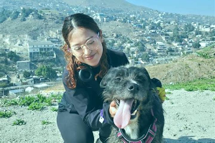Evelyn, 26 — Escort in Terrazas del Valle, Mexico